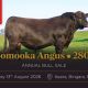 Go to Booroomooka Angus Bull Sale