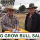 Go to AG GROW FIELD DAYS - BULL SALE