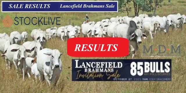 Lancefield Brahmans Invitation Sale 2025