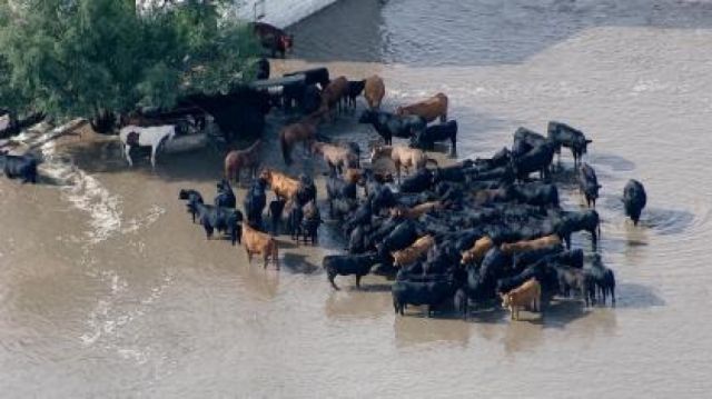 Let's spare a thought for our friends in Texas
