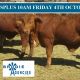 Go to 160 VGQ HGP Free Droughtmaster Weaner Steers.