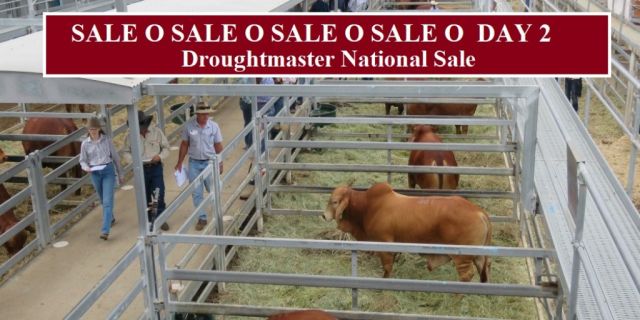SALE O SALE O DAY 2