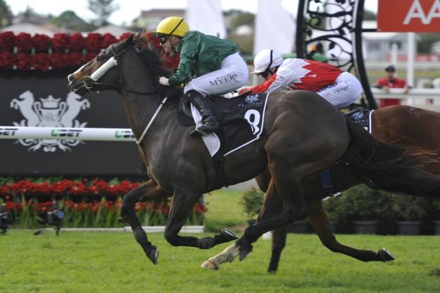 Self Sense romps home to win Ipswich Cup