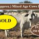 FOR SALE: 350 Mixed Age Cows PTIC.