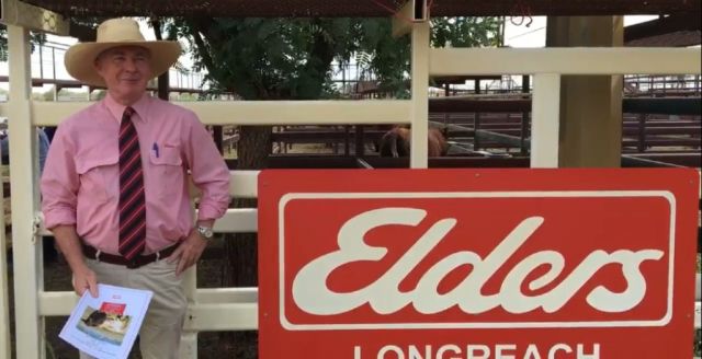 Royalla Shorthorns  Longreach Sale Results