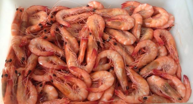 WHAT PRICE WOULD YOU PAY FOR PRAWNS.