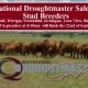 CQ Invitational Droughtmaster Sale of 2020.