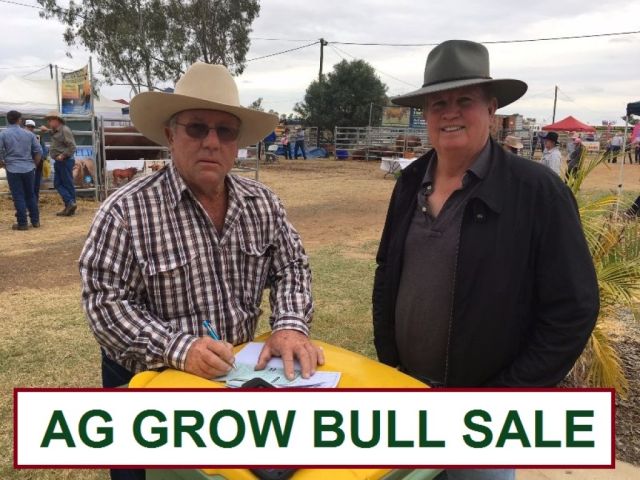 AG GROW FIELD DAYS - BULL SALE