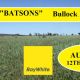 Go to "BATSONS"