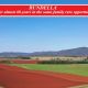 Go to BUNDELLA