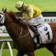 Criterion could make Slipper history in Cup