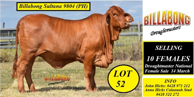 Billabong Droughtmasters NFS 2026