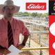 Go to Gold City Brahman Sale 2025