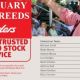 Elders Vendors February All Breeds (2022)