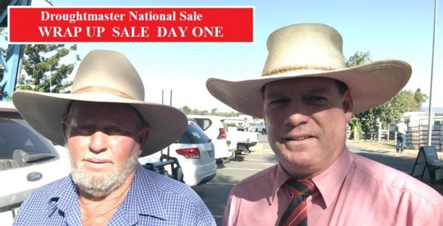 RESULTS DAY ONE NATIONAL DROUGHTMASTERS