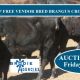 For Sale 152 VGQ HGP Free Vendor Bred Brangus Cross Steers.