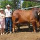 Go to SALE O SALE O SALE O BIG COUNTRY DAY ONE