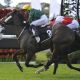 Self Sense romps home to win Ipswich Cup