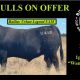Go to Bulliac Angus Sale 2025