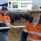 BEEF CONNECTIONS MENTOR PARTICIPANTS ANNOUNCED