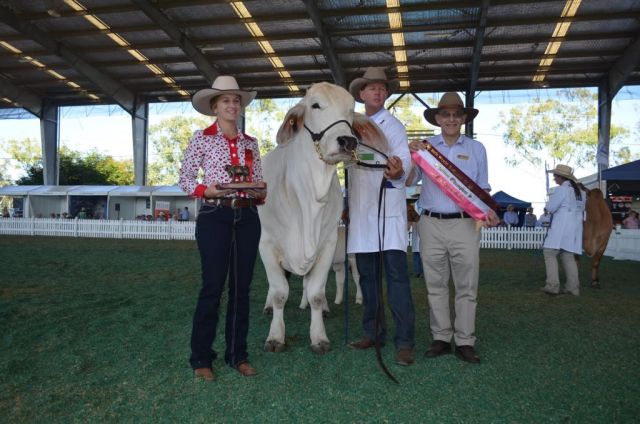 Champions of the World Brahman Congress