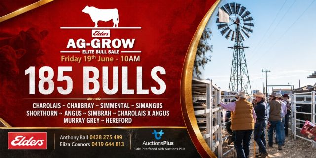 AG-GROW ELITE BULL SALE 2026
