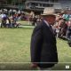 Ekka 2016 Brahman Results