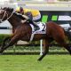Go to Fastnet Rock sire’s stakes double assures first season title