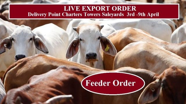 LIVE EXPORT FEEDER ORDER  APRIL
