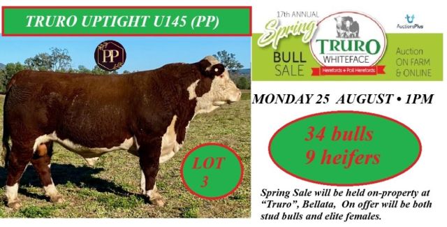 Truro Hereford Spring Sale