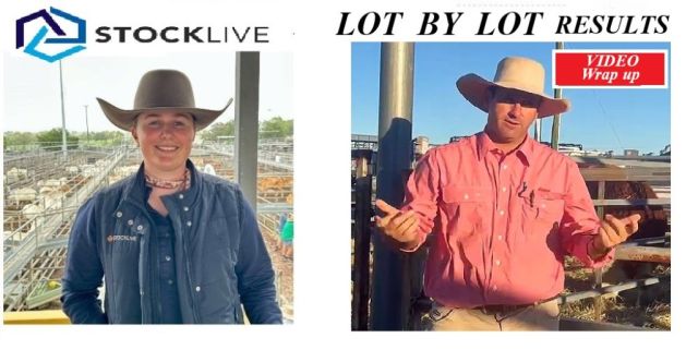 Ag-Grow Elite Bull Sale 2025