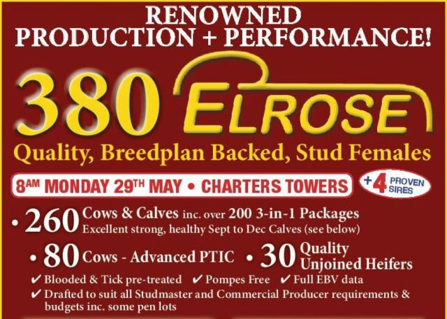 Elrose Reduction Sale
