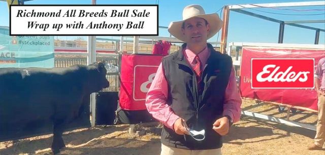 Richmond  All Breeds Bull Sale.