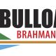 Bulloak Brahmans