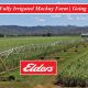 59Ha Fully Irrigated Mackay Farm  Going to Auction